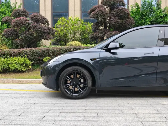 Tesla Model Y — Фото автомобиля 4