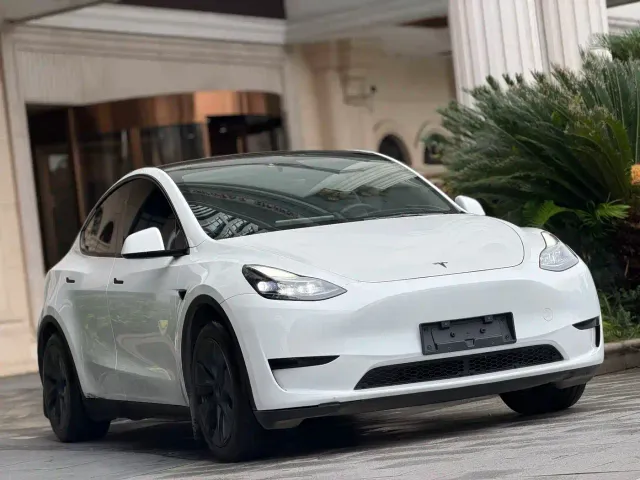 Tesla Model Y — Фото автомобиля 3