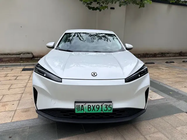 Dongfeng SKY EV01 — Фото автомобиля 9