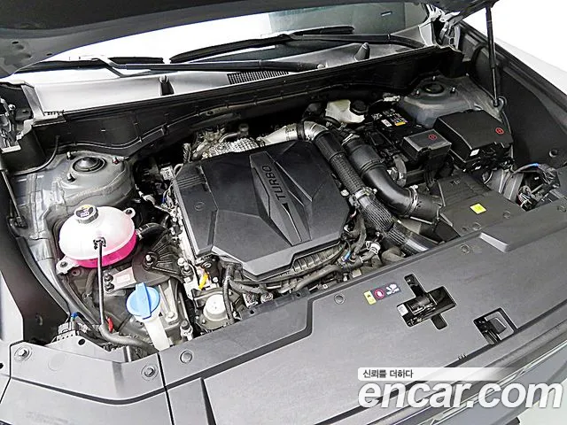 Hyundai Santa Fe MX5 — Фото автомобиля 19