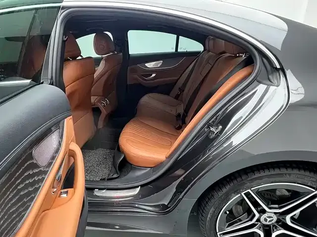 Mercedes-Benz CLS-Class — Фото автомобиля 13