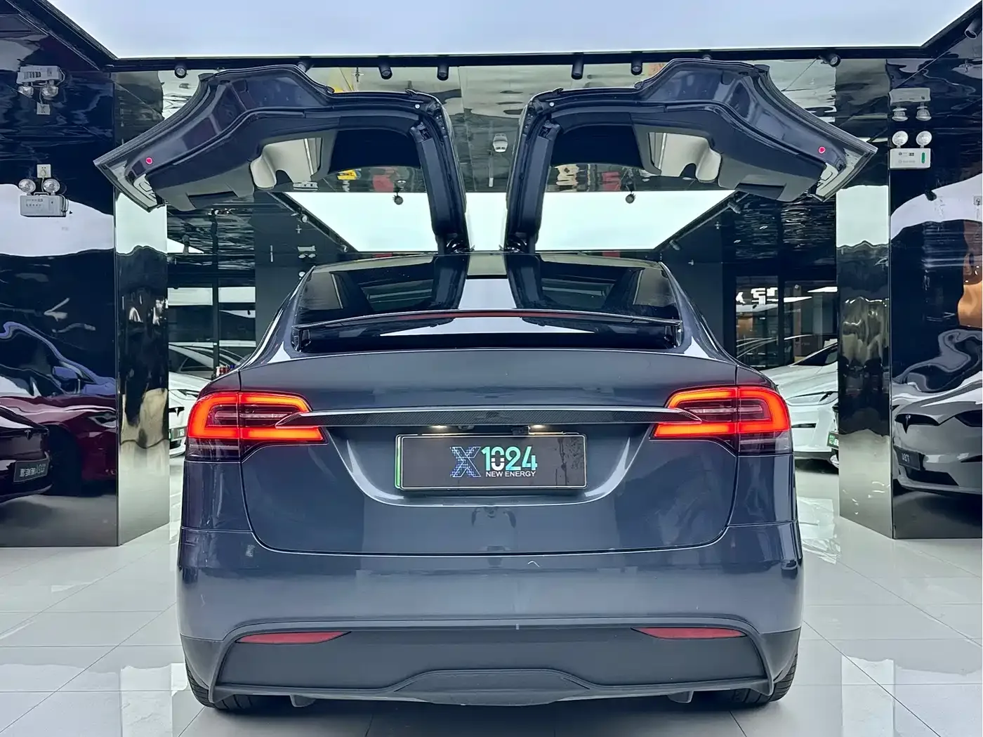 Tesla Model X 2023 Dual Motor All-Wheel Drive Edition — Фото автомобиля 12