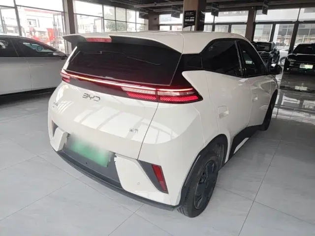 BYD Seagull 2025 Smart Drive Edition 305km Vitality Version — Фото автомобиля 6
