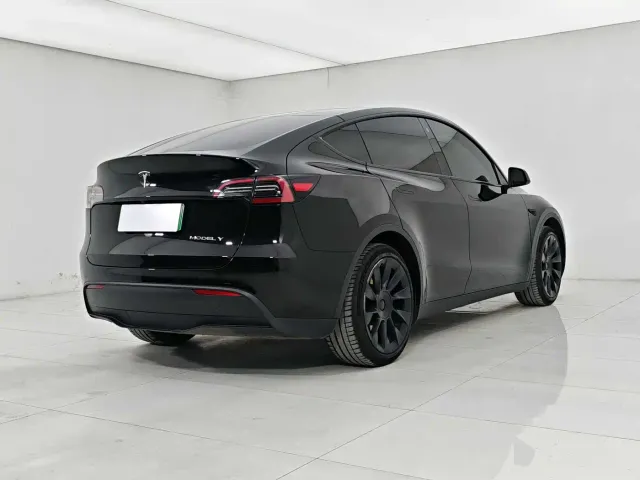 Tesla Model Y — Фото автомобиля 6