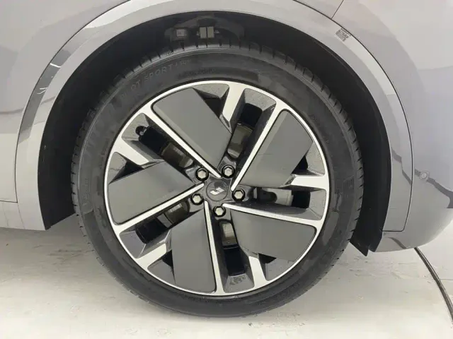 Li Auto L9 — Фото автомобиля 11