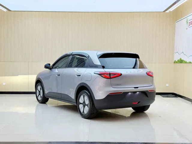 Geely Starry Wish — Фото автомобиля 22
