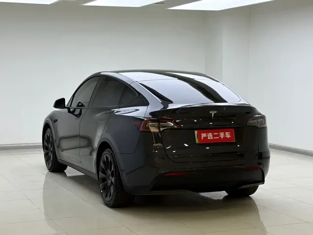 Tesla Model Y — Фото автомобиля 16