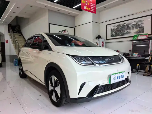 BYD Dolphin — Фото автомобиля 2