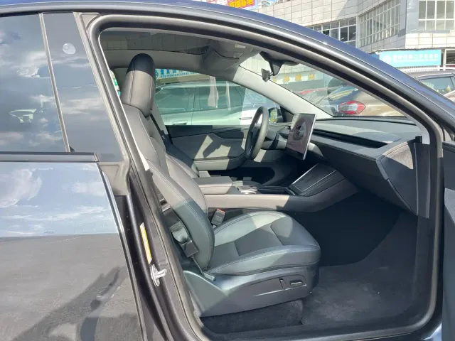 Tesla Model Y — Фото автомобиля 12