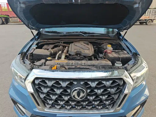 Dongfeng Rich 6 Pro — Фото автомобиля 19