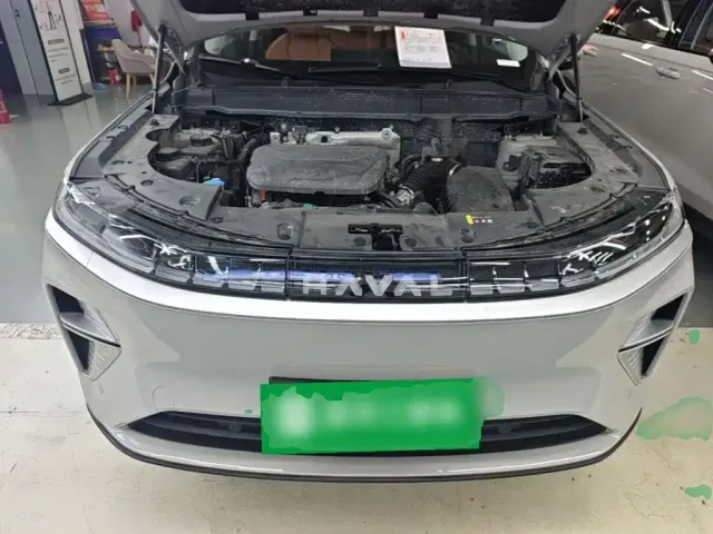 Haval Xiaolong MAX — Фото автомобиля 19