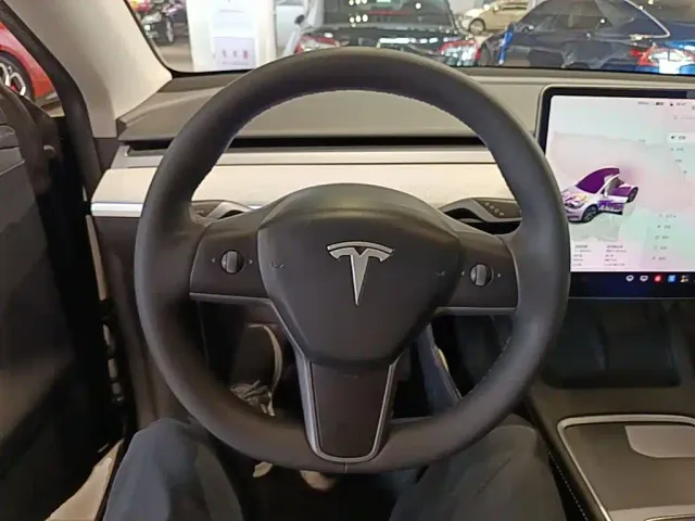 Tesla Model Y — Фото автомобиля 10