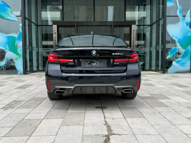 BMW 5 Series — Фото автомобиля 5