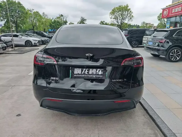 Tesla Model Y — Фото автомобиля 9