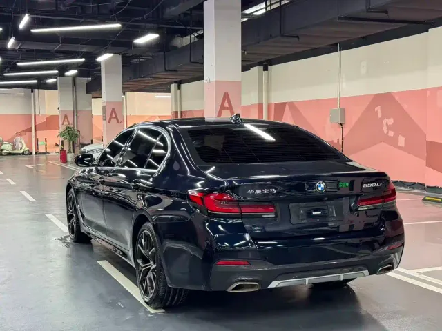 BMW 5 Series — Фото автомобиля 8