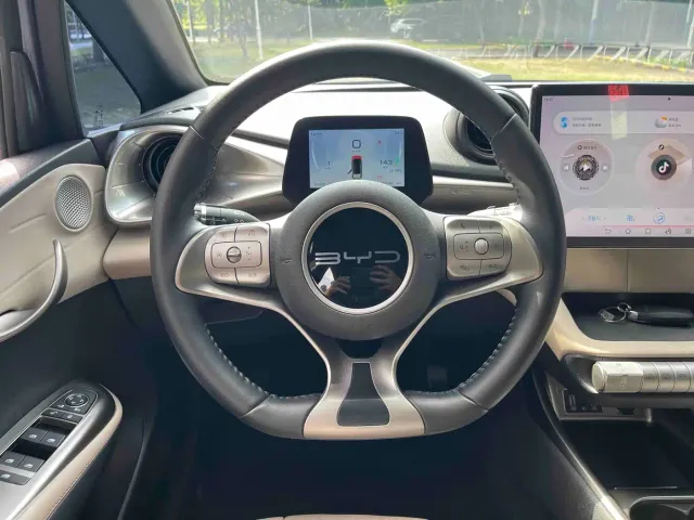 BYD Dolphin — Фото автомобиля 12