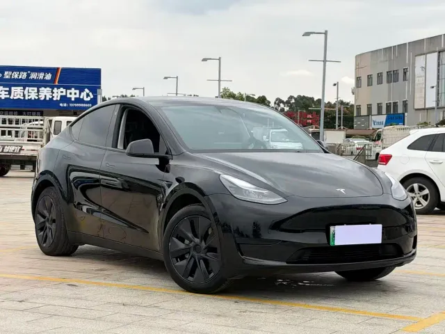 Tesla Model Y — Фото автомобиля 2