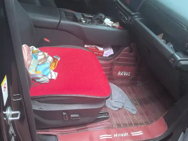 Haval Big Dog — Фото автомобиля 8