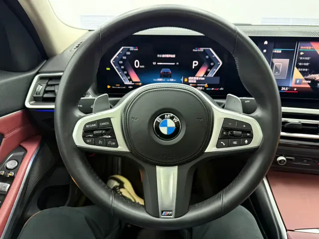 BMW 3 Series — Фото автомобиля 7