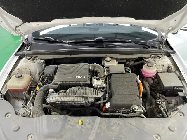 BYD Qin PLUS — Фото автомобиля 29