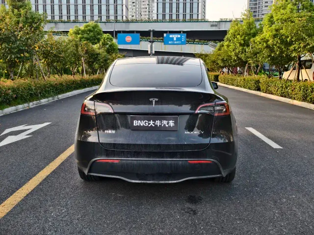 Tesla Model Y — Фото автомобиля 5