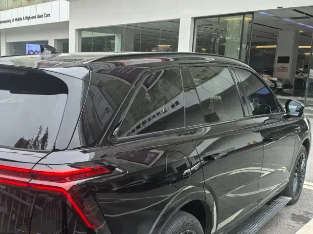 Wey Lanshan — Фото автомобиля 10