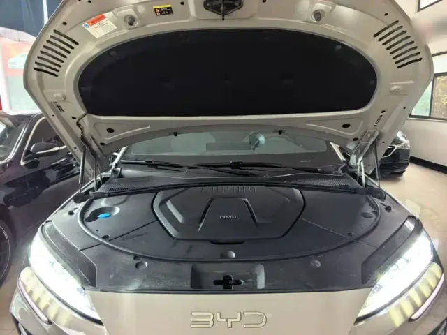 BYD Song PLUS — Фото автомобиля 19