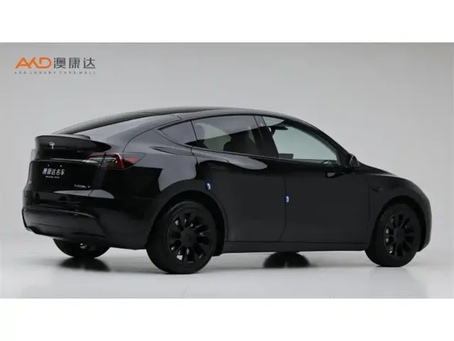 Tesla Model Y — Фото автомобиля 3