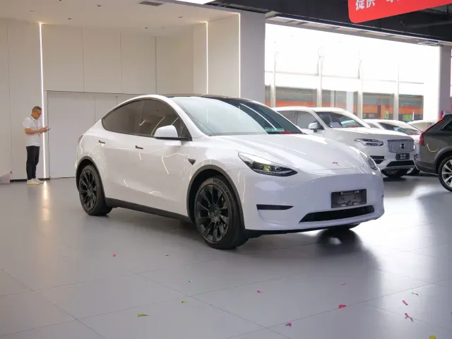 Tesla Model Y — Фото автомобиля 3