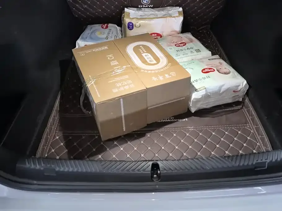 BMW BMW 5 Series 2024 530Li Leading M Sport Package — Фото автомобиля 4