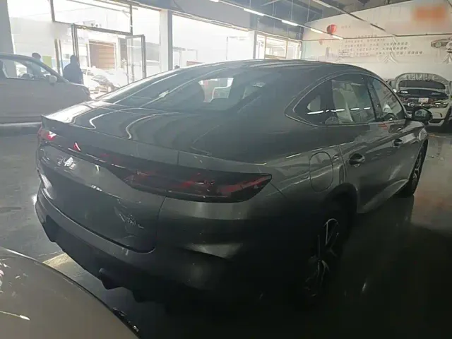 BYD Qin L — Фото автомобиля 6