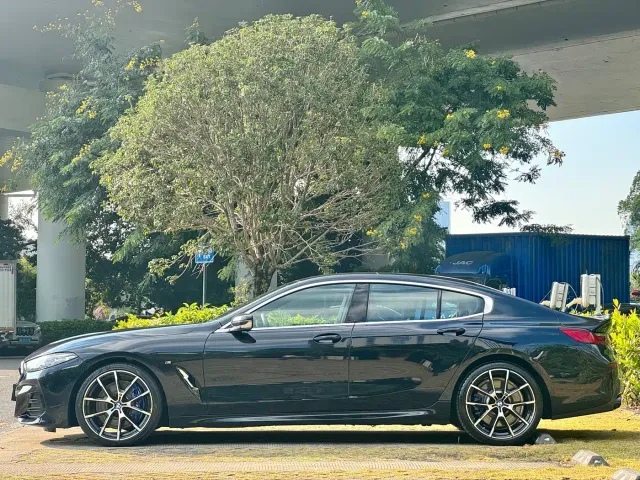 BMW 8 Series — Фото автомобиля 16