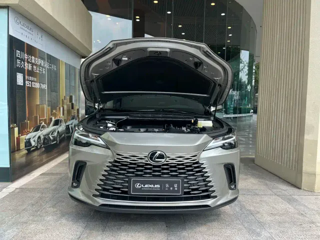 Lexus RX — Фото автомобиля 6