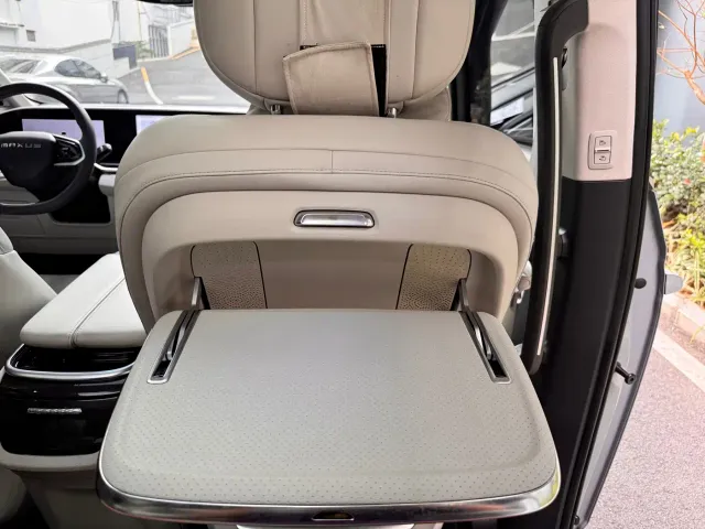 Maxus Dajia 9 — Фото автомобиля 23