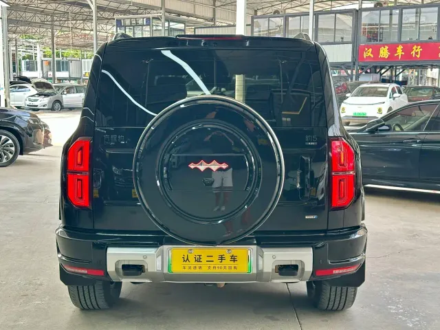 BYD FangChengBao Leopard 5 — Фото автомобиля 4