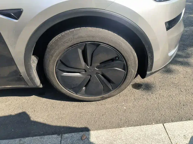Tesla Model Y — Фото автомобиля 25