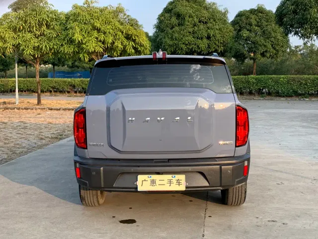 Haval Cool Dog — Фото автомобиля 8