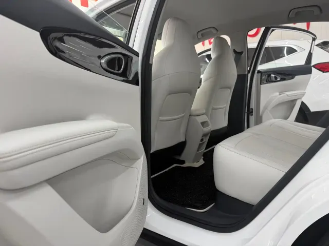 Geely Starry Wish — Фото автомобиля 8