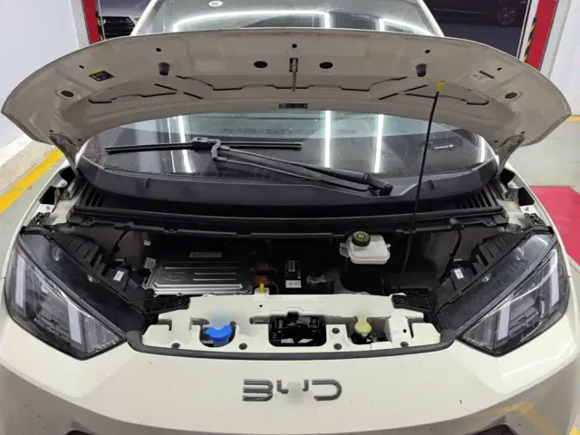 BYD Seagull — Фото автомобиля 19