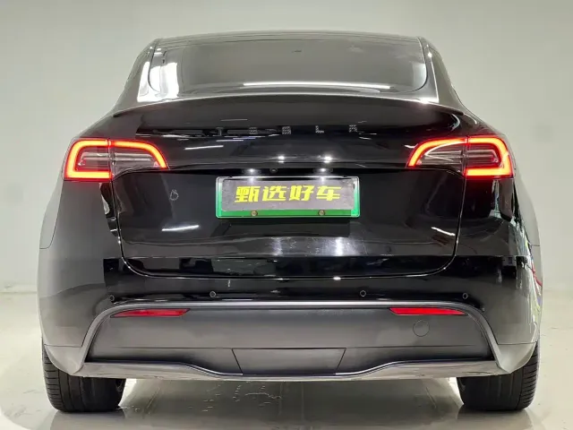Tesla Model Y — Фото автомобиля 9