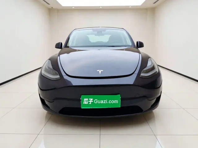 Tesla Model Y — Фото автомобиля 2