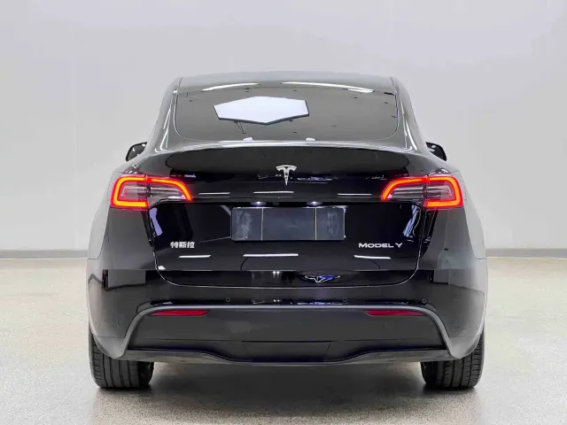 Tesla Model Y — Фото автомобиля 6