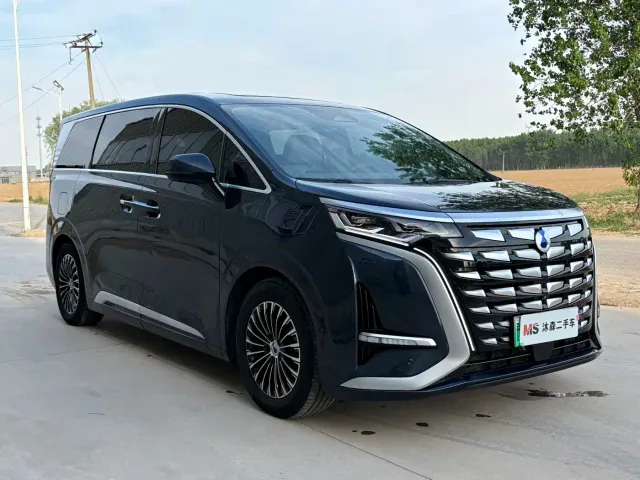 Denza Denza D9 2022 DM-i 970 AWD Flagship — Фото автомобиля 3