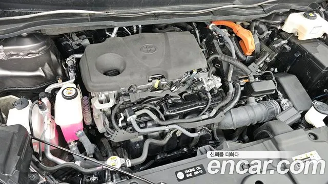Toyota Sienna — Фото автомобиля 6