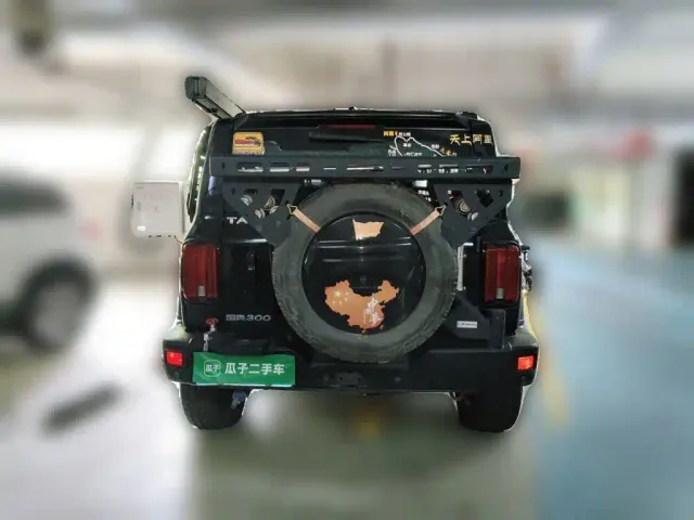 Tank Tank 300 2021 Off-road Version 2.0T Conqueror — Фото автомобиля 3