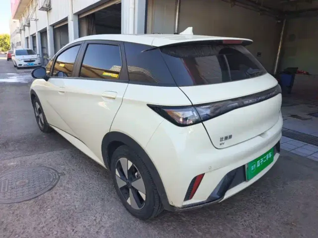 BYD Dolphin — Фото автомобиля 4