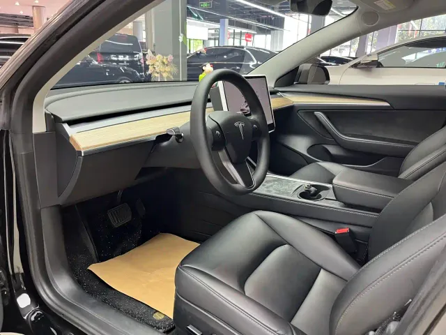 Tesla Model 3 — Фото автомобиля 10