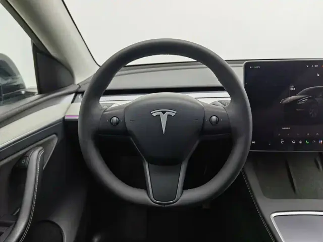 Tesla Model Y — Фото автомобиля 11