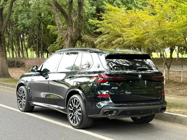 BMW X5 — Фото автомобиля 11
