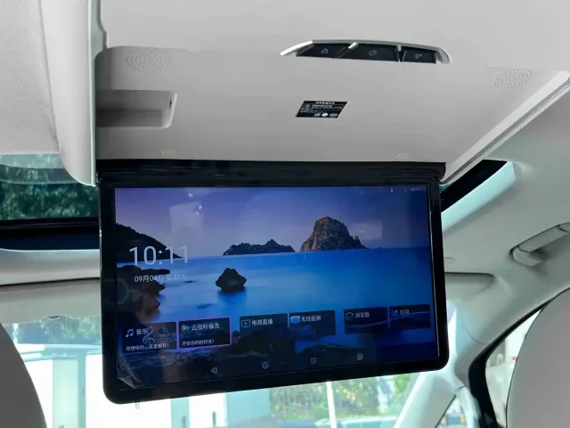 Denza Denza D9 2022 DM-i 1040 Premium — Фото автомобиля 9